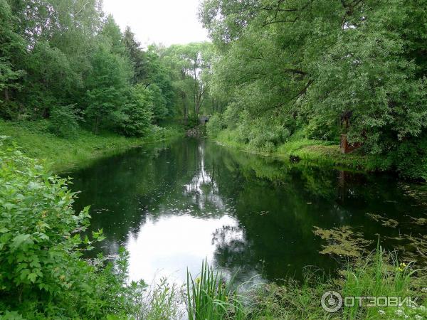 Дендрологический парк (Россия, Переславль-Залесский) фото