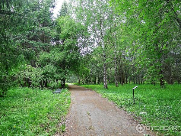 Дендрологический парк (Россия, Переславль-Залесский) фото