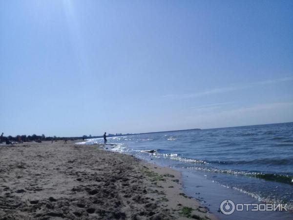 Пляж Ласковый (Россия, Санкт-Петербург) фото