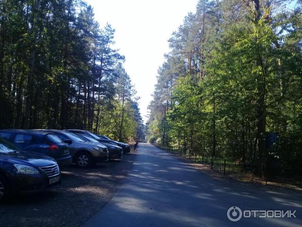 Пляж Ласковый (Россия, Санкт-Петербург) фото