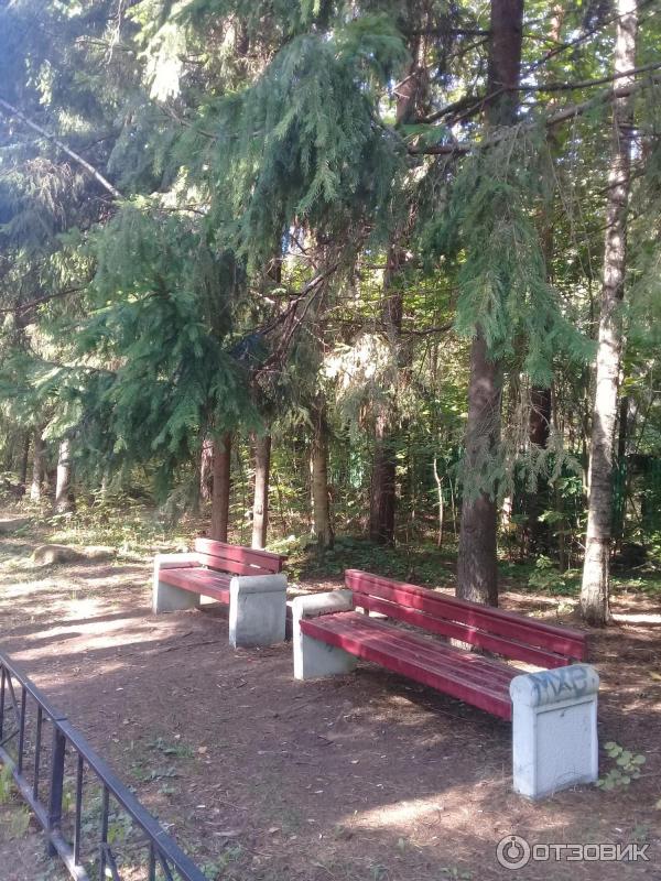 Пляж Ласковый (Россия, Санкт-Петербург) фото
