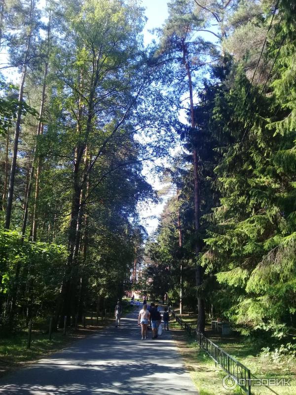 Пляж Ласковый (Россия, Санкт-Петербург) фото