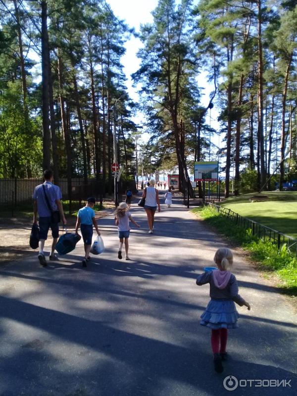 Пляж Ласковый (Россия, Санкт-Петербург) фото