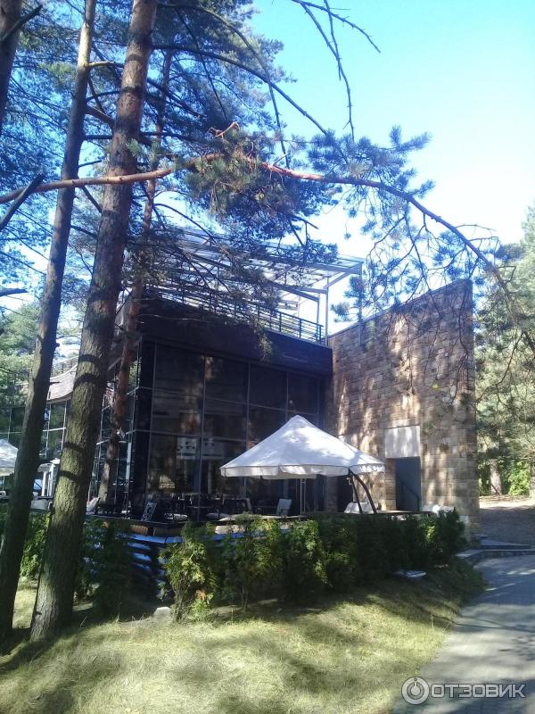 Пляж Ласковый (Россия, Санкт-Петербург) фото