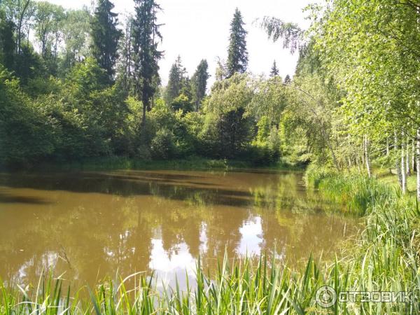 Музей-усадьба А. Блока Шахматово (Россия, Московская область) фото