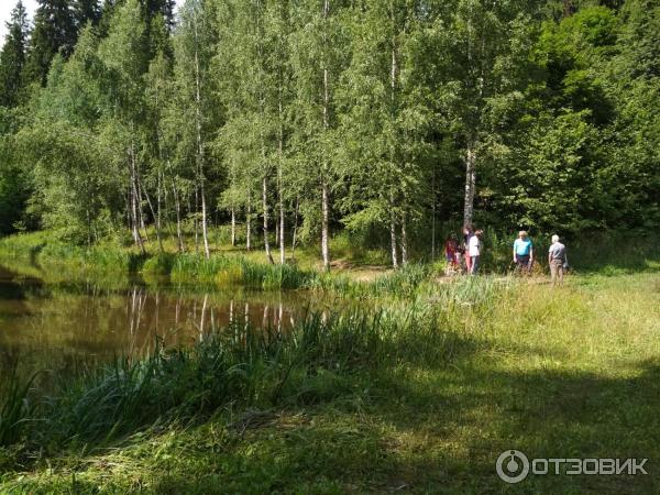 Музей-усадьба А. Блока Шахматово (Россия, Московская область) фото