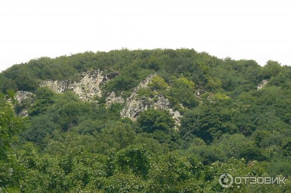 Железноводский курортный парк (Россия, Железноводск) фото