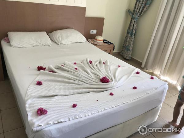 Отель Sun Star Beach Hotel 4* (Турция, Аланья) фото