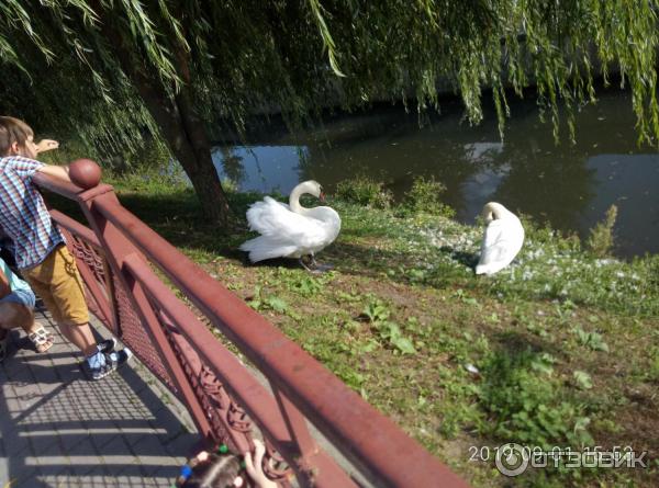 Зоопарк Гродно (Белоруссия) фото