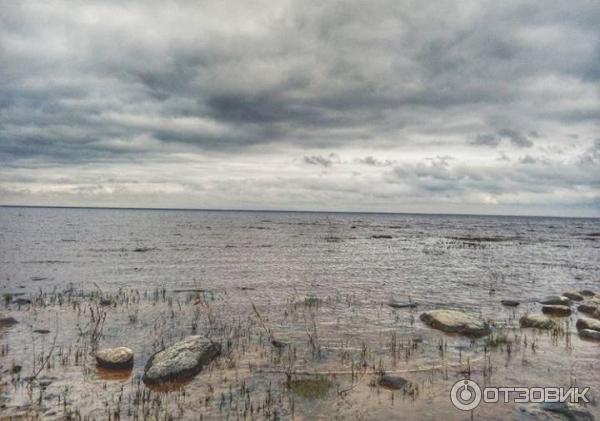 Озеро Кубенское (Россия, Вологодская область) фото