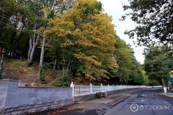 Отдых на горнолыжном курорте Цахкадзор (Армения) фото