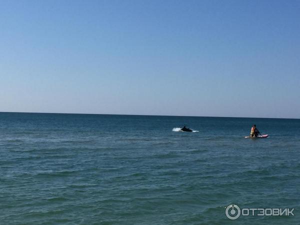 Дельфины совсем рядом