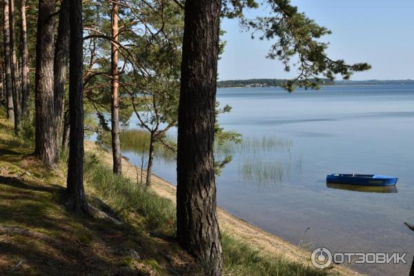 Озеро Нарочь (Беларусь, Минская область) фото