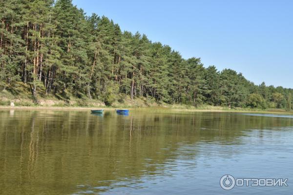 Озеро Нарочь (Беларусь, Минская область) фото