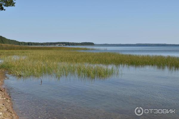 Озеро Нарочь (Беларусь, Минская область) фото