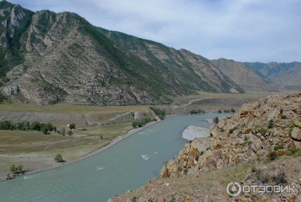 Место слияния Катуни и Чуи (Россия, Алтайский край) фото