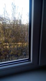 Окна Brusbox фото