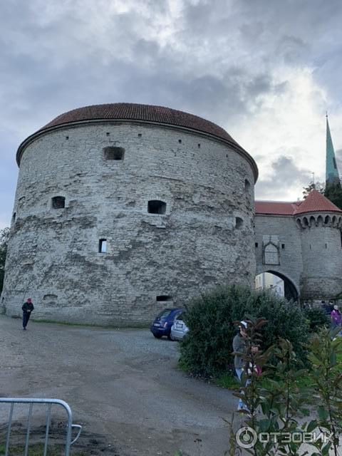 Башня толстая Маргарита в Таллине