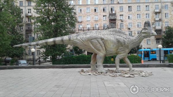 Палеопарк Государственного Дарвиновского музея (Россия, Москва) фото