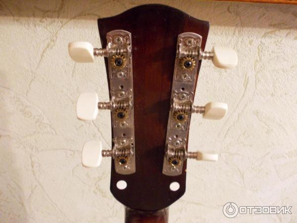 Электрогитара Арктоп 409 фото