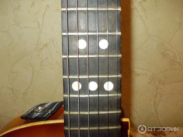 Электрогитара Арктоп 409 фото