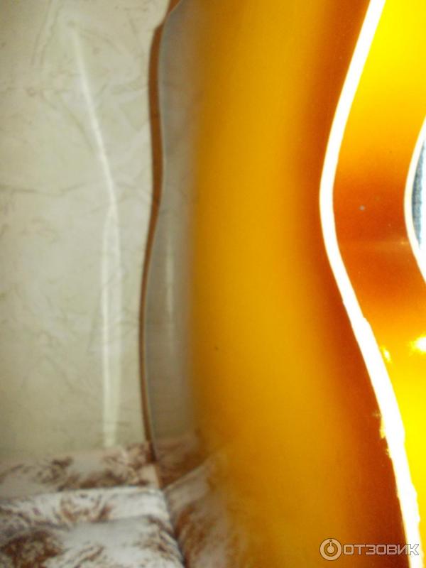 Электрогитара Арктоп 409 фото