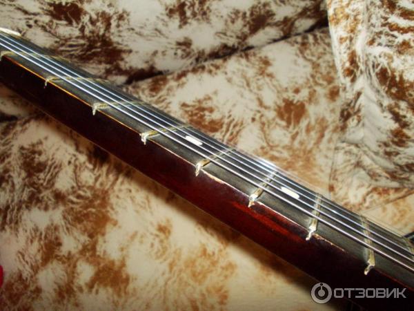 Электрогитара Арктоп 409 фото