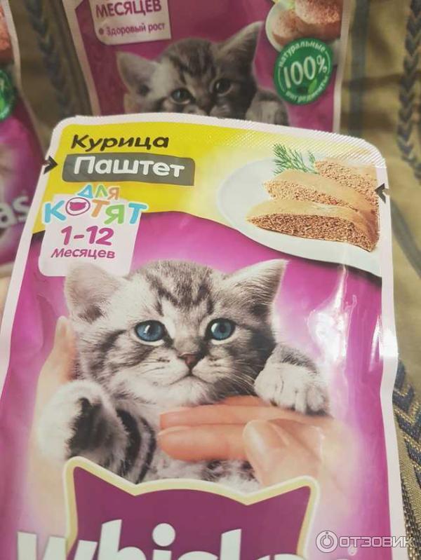 Корм для котят Whiskas Паштет с курицей фото