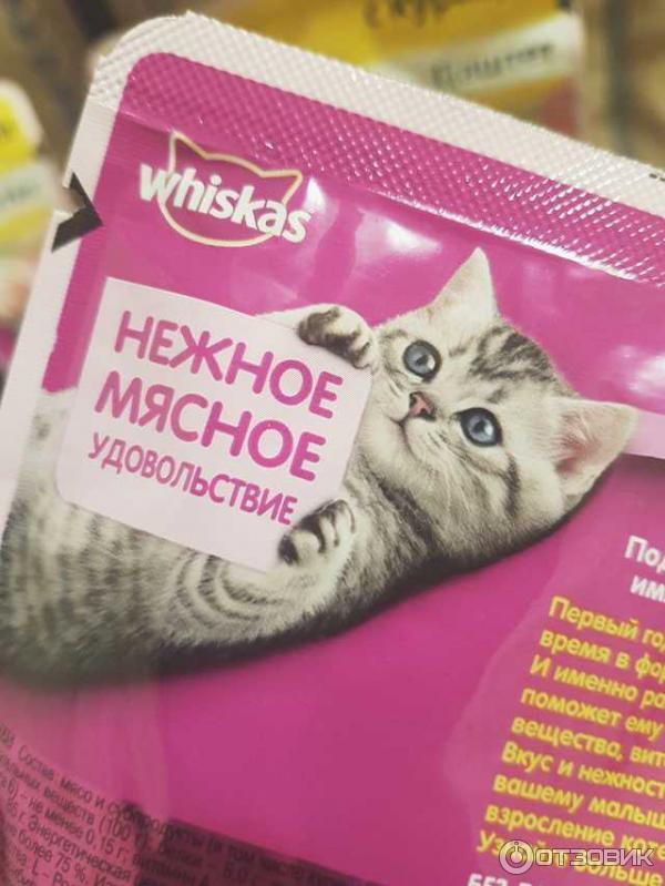 Корм для котят Whiskas Паштет с курицей фото