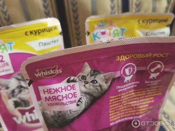 Корм для котят Whiskas Паштет с курицей фото