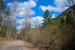 Объектив Sigma AF 17-70mm F2.8-4 DC Macro OS HSM фото