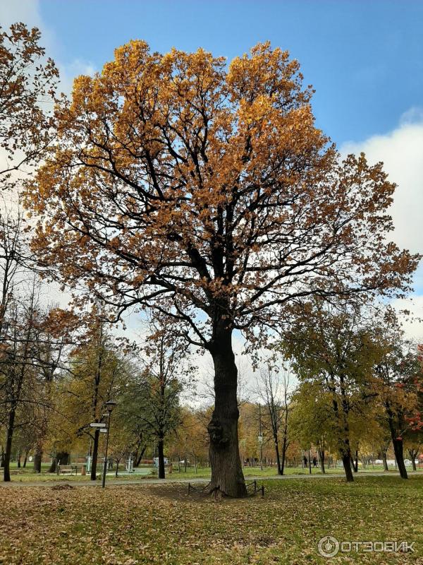 Парк Сад будущего (Россия, Москва) фото