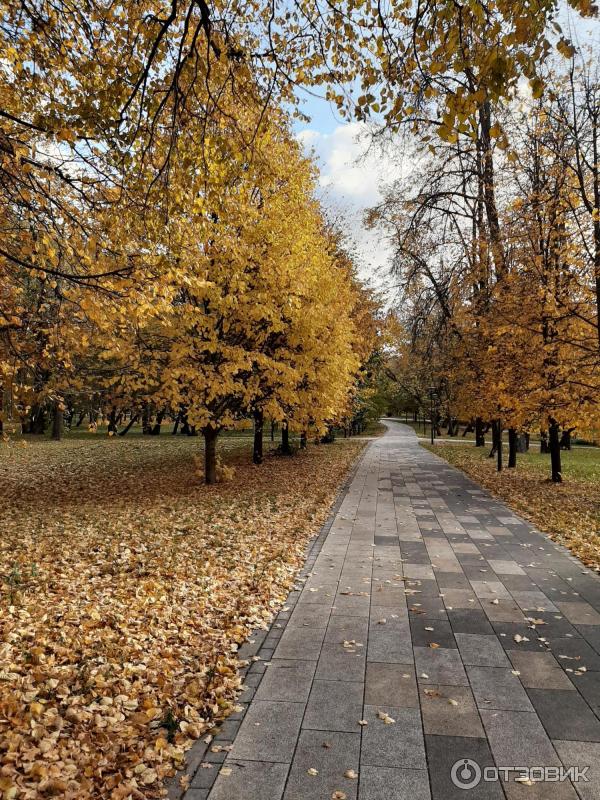 Парк Сад будущего (Россия, Москва) фото