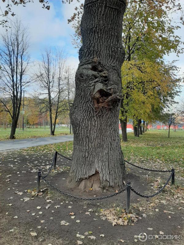 Парк Сад будущего (Россия, Москва) фото