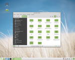 Операционная система Linux Mint фото