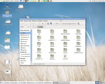 Операционная система Linux Mint фото