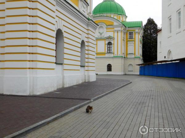 Тверской императорский путевой дворец (Россия, Тверь) фото