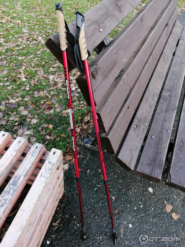 Палки для скандинавской ходьбы Outventure Nordic Walking Poles фото