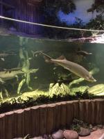 Океанариум Star&Mlad (Россия, Воронеж) фото