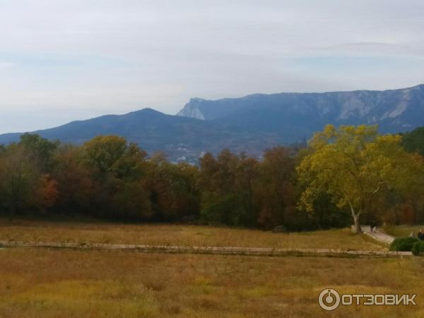 Прогулка по Массандровскому парку (Россия, Массандра) фото