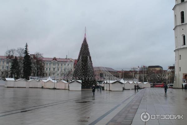 Тур в Литву и Латвию Падал Прибалтийский снег фото