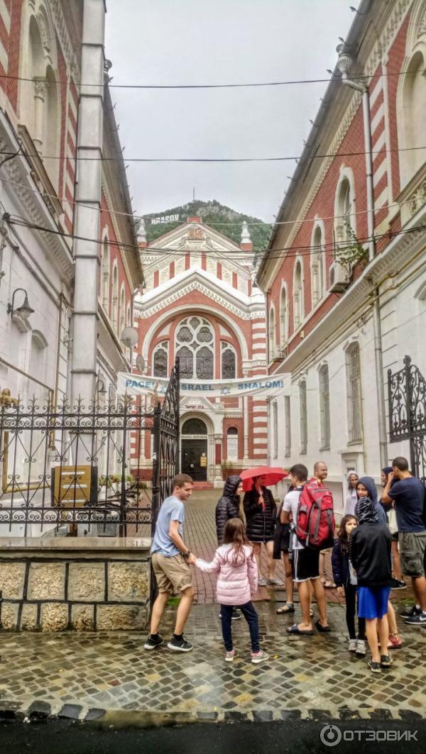 синагога Брашов