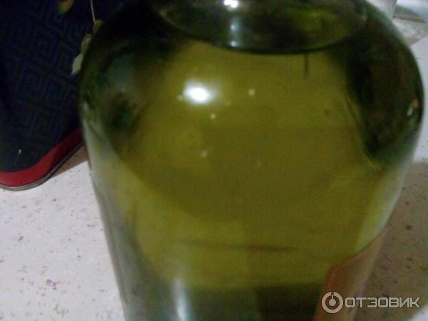 Оливковое масло Olimp Extra Virgin Olive Oil Gold Extraction фото