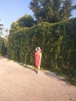 Отдых на курорте Лара (Турция, Анталья) фото