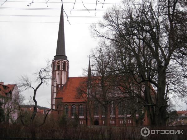 Экскурсия в пригород Олива (Оливское Аббатство) (Польша, Гданьск) фото