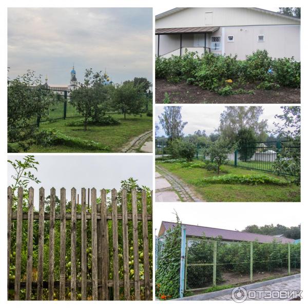 Введенский ставропигиальный мужской монастырь Оптина Пустынь (Россия, Козельск) фото