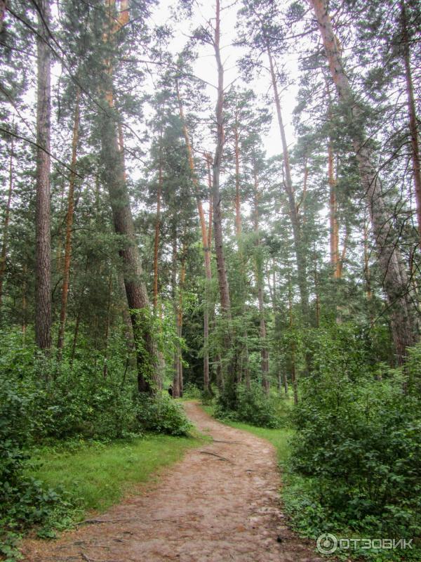 Введенский ставропигиальный мужской монастырь Оптина Пустынь (Россия, Козельск) фото