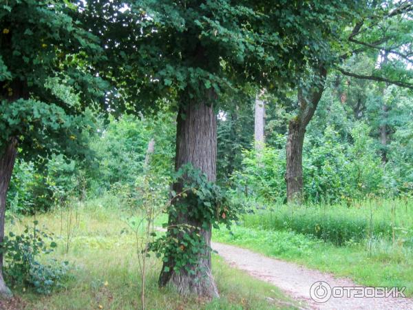 Введенский ставропигиальный мужской монастырь Оптина Пустынь (Россия, Козельск) фото