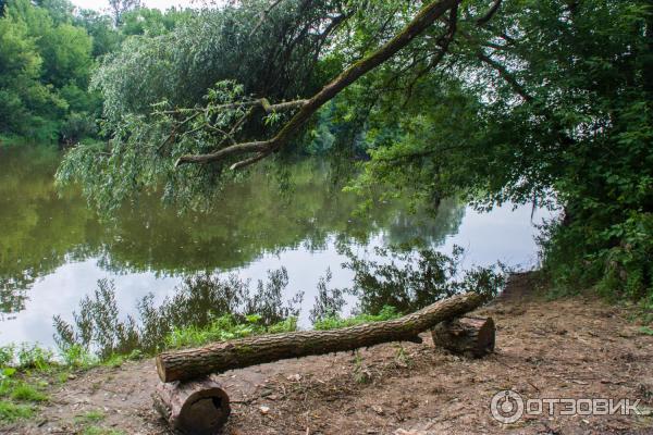 Введенский ставропигиальный мужской монастырь Оптина Пустынь (Россия, Козельск) фото