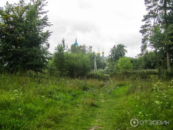 Введенский ставропигиальный мужской монастырь Оптина Пустынь (Россия, Козельск) фото